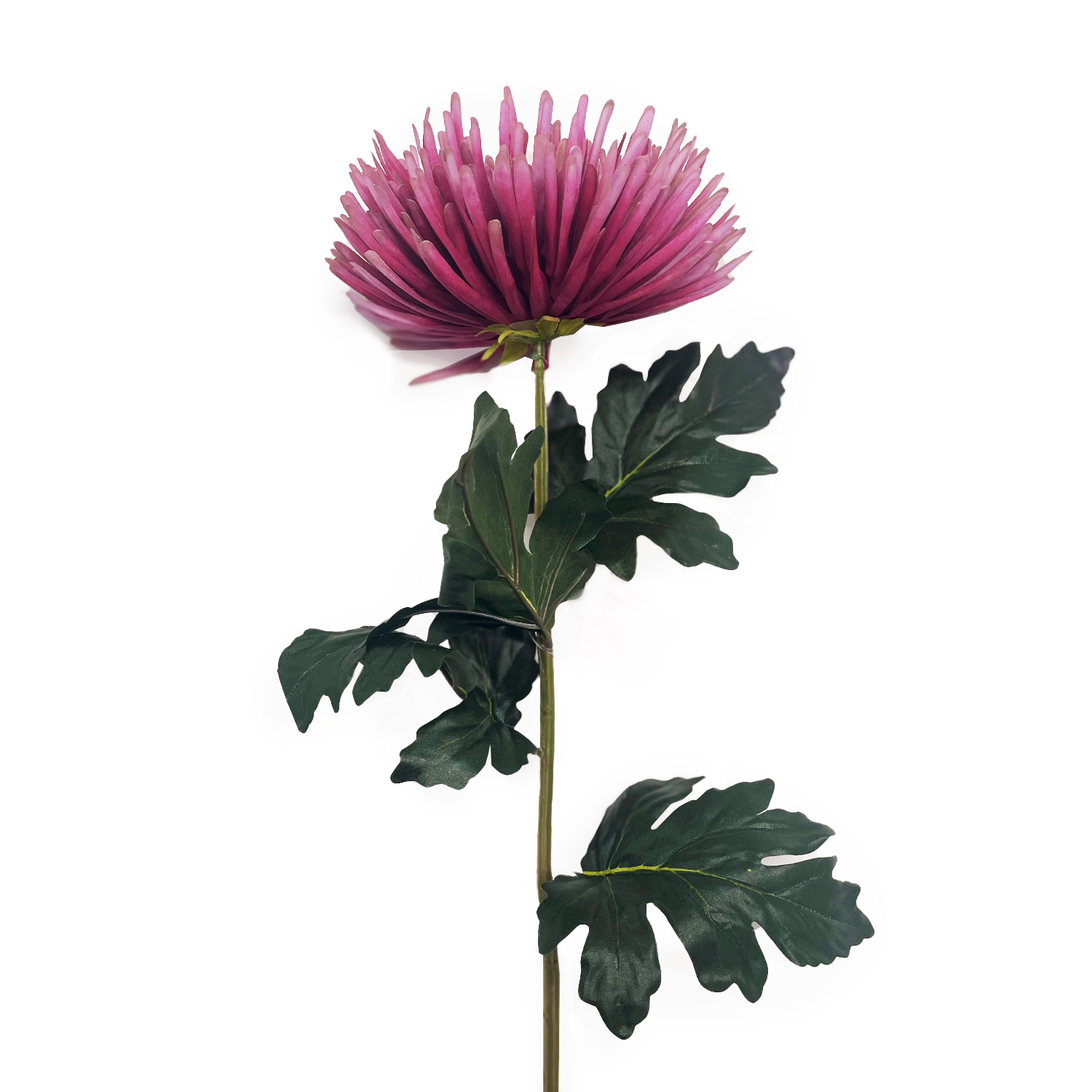 ImPres Chrysanthemum Stem Deep Pink